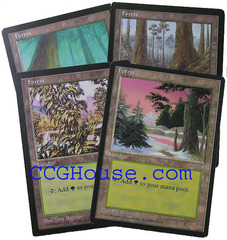 Forest Lot of 20