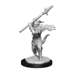 DUNGEONS AND DRAGONS NOLZUR'S MARVELOUS MINIATURES: W13 BEARDED DEVILS