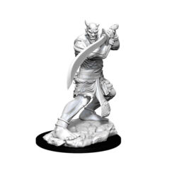 DUNGEONS AND DRAGONS NOLZUR'S MARVELOUS MINIATURES: W13 EFREETI