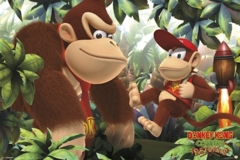 #111- Donkey Kong & Diddy Kong