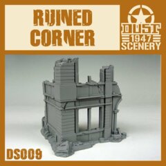 DS009   RUINED  CORNER