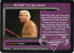 <i>Revolution</i> Ric Flair™ Is In My Corner!