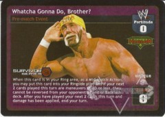 Whatcha Gonna Do, Brother? - SS2