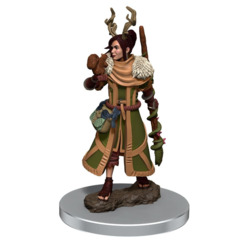 D&D Icons of The Realms - Human Druid Painted