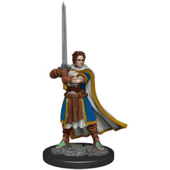 D&D Icons of The Realms - Premium Painted Miniatures - Human Cleric male
