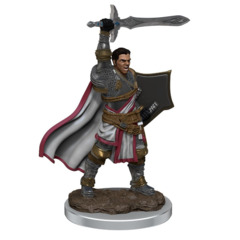 D&D Icons of The Realms - Human Paladin Painted
