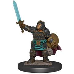 D&D Icons of The Realms - Premium Painted Miniatures - Dwarf Paladin male